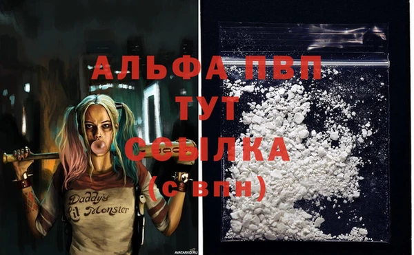 сатива Армянск