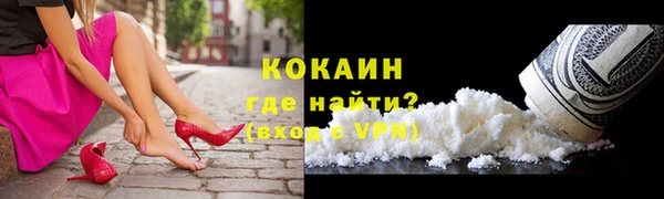сатива Армянск